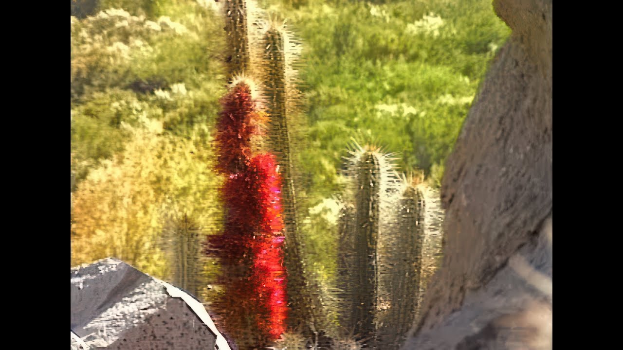 El Norte Chico, del Pacífico a los Andes