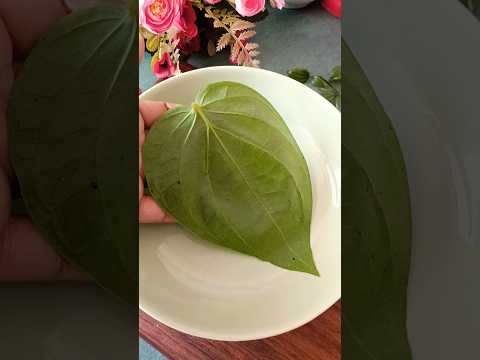 पान के पत्ते खाने के फायदे ❣️#drrobin #viral #facts #healthtips #food #helthbenefits