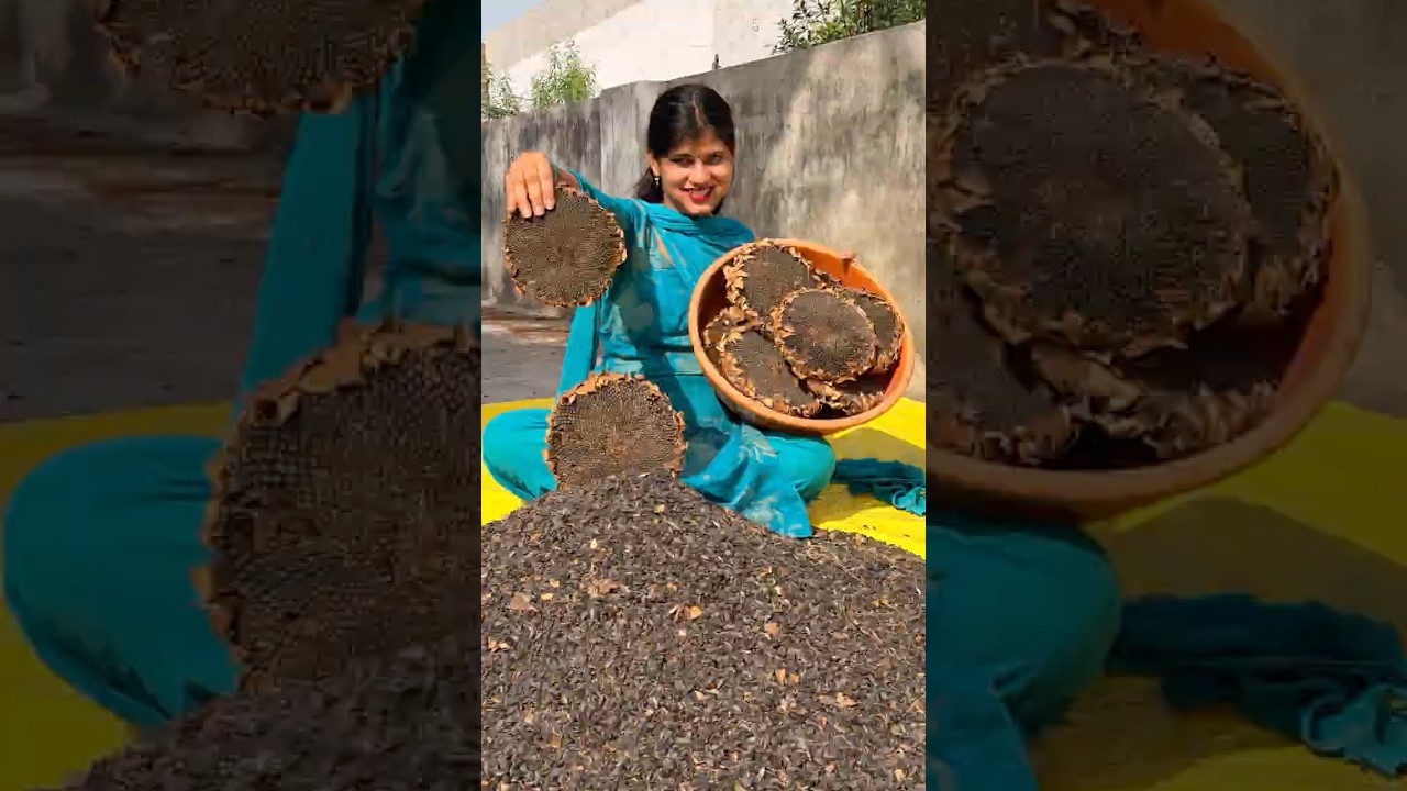 aah ghar mein Kyon uthana Pad Gaya Danda🌻#minivlog #dailyvlog #shortvideo #viralvideos #sunflower