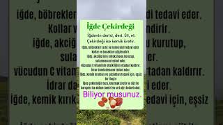 Sizlerede Fikir Olsun..