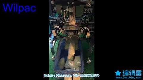 1KG loose sugar PE impulse sealing packing video from Wilpac