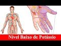 Potássio Baixo? 5 Sinais e Como Melhorar Isso