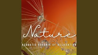 Moments of Blissful Tranquility
