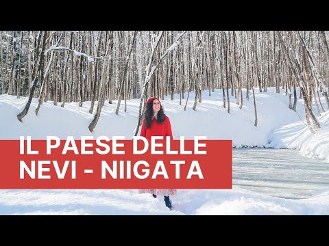 Video: La Migliore Salsa Di Soia Giapponese Viene Invecchiata Nella Neve Nella Prefettura Di Niigata