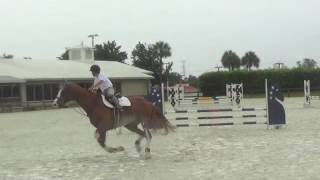 Lance - Fargo Tampa