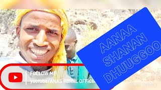 Download Lagu AANAA SHANAN DHUUGGOO ✅️BIYYA JAALALAA FII BADHAADHINAA 💚MASHA ALLAH SHARE GODHA ♥️ ❤️ 🙏🙏 MP3