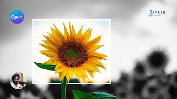 Flower Animation in Canva: Bring Your Designs to Life!