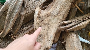 Chọn Ngọc Am Như Nào Cho Đẹp Và Thơm - 0985.668.070