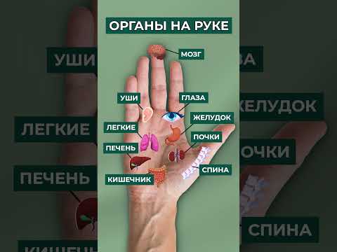 ВОТ КАК массаж руки влияет на внутренние органы! #здоровье #рука #советы