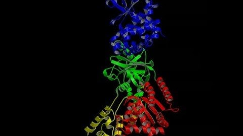 Anthrax Lethal Toxin 3D model from X-ray, Rate My Science