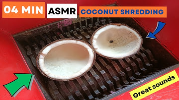 Coconut vs Fast Shredder Machine | Great Sound ASMR