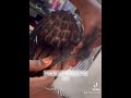 How To Install Afro B On Short Hair | Crochet Method | Doctor Dread Of Lagos. #dreadlocks #salon