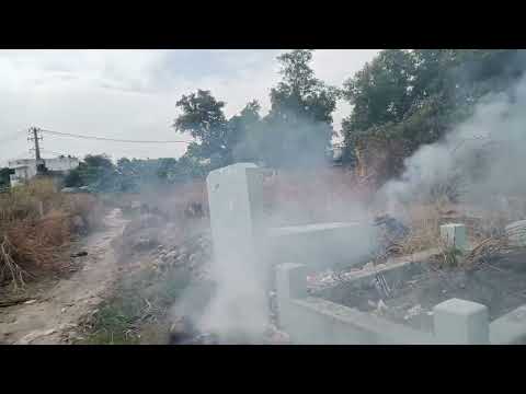 chia sẻ khu chùm mã gò đình.gập mảnh rất tuyệt vời.và dể thương.mời cô chú anh chị em xem vui ạ chia sẻ khu chùm mã gò đình.gập mảnh rất tuyệt vời.và dể thương.mời cô chú anh chị em xem vui ạ