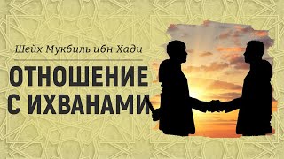 Отношение с ихванами | Шейх Мукбиль ибн Хади