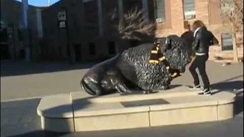 CU Boulder Happy Holidays From the UMC