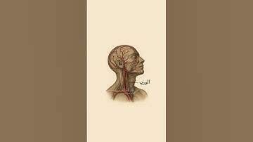 #عبد_الباسط_عبد_الصمد #القرآن_الكريم #المنشاوي #المنشاوي_عبد_الباسط_عبد_الصمد_تلاوه_خاشعة