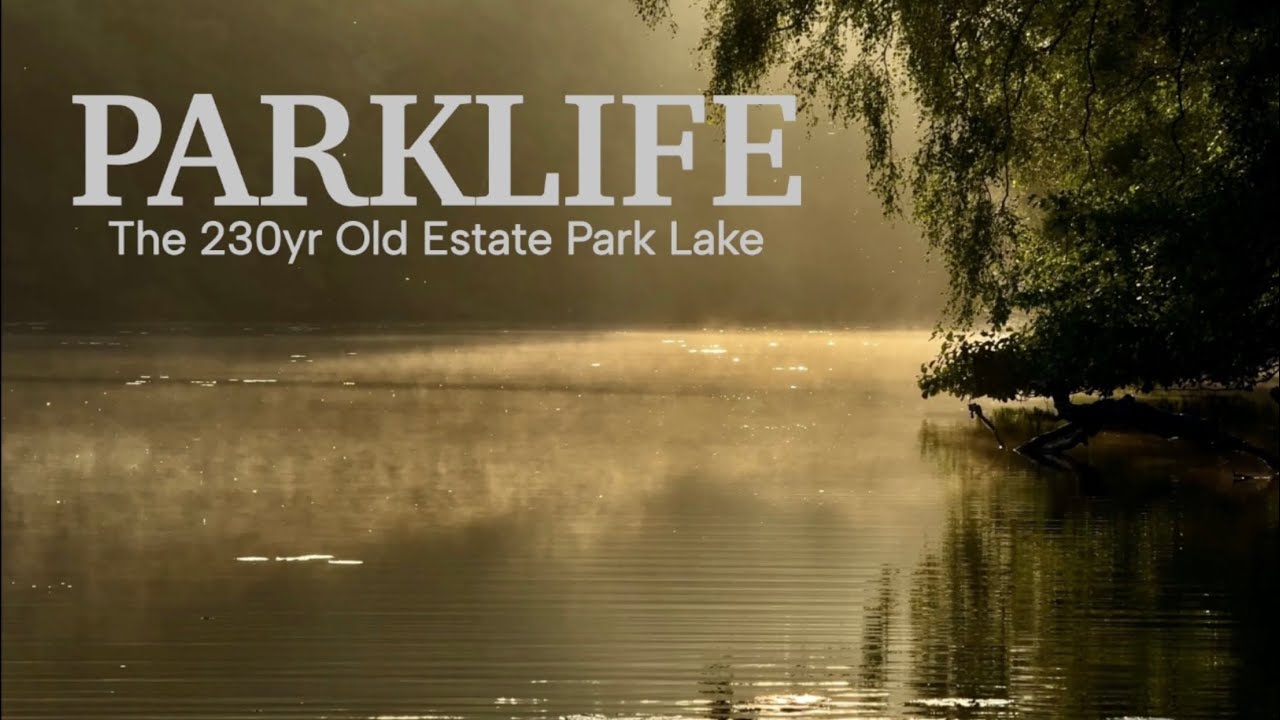 Loving Life & Catching Carp | Carp Fishing The 140 Acre Park Lake Campaign 