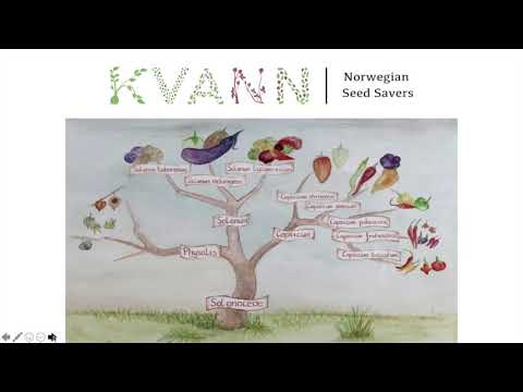 Video: Hvordan fungerer en komprimeringsoliven?