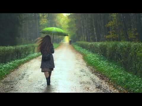 비와당신 조장혁 1시간