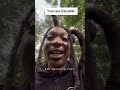 Thus Made Since To Me