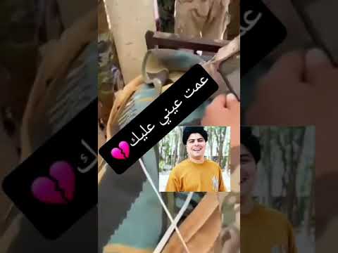 جثمان الشهيد سيد ماجد حميد الزاملي ابن الديوانيه 