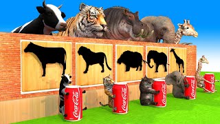 Mystery Door with Tires Breaking the Wall Cow, Elephant, Duck, Tiger, Hippo, Deer Choose the Right