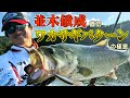 並木敏成直伝!ワカサギパターンの極意 in 入鹿池 秋のワカサギレイクを攻略する方法教えます!