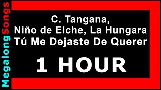 C. Tangana, Niño de Elche, La Hungara - Tú Me Dejaste De Querer [1 HORA] 🔴 [1 HOUR LOOP] ✔️