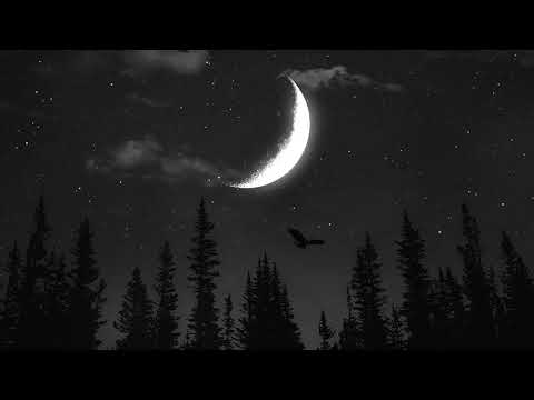 FAIKXVR x NEFELI