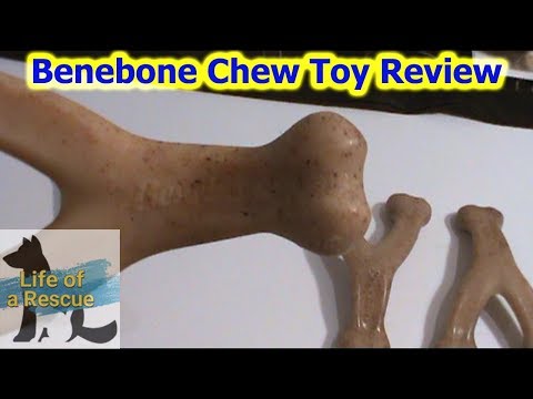 Benebone Bacon Flavored Chew Toy Review