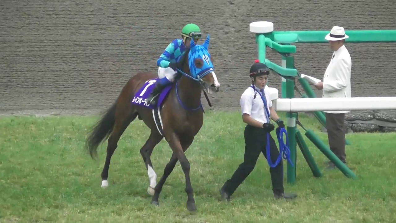 【König】羅馬東京間飛行記念 2017 58th Takarazuka Kinen (GI) Main Racecourse Entrance