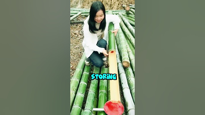 What’s Inside Bamboo 🤔