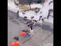 لأنك الله لاخوف ولاوجل لأنك الله روحي كلها أمل لأنك الله لاخوف ولاوجل لأنك الله روحي كلها أمل