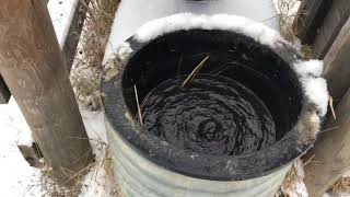 Watering System for Cattle