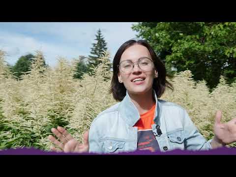 АКЦИЯ! МОРЕ, ВОЗДУХ И ЗДОРОВЬЕ! Как правильно провести отпуск