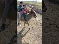 naughty boy#funnyshortvideo#youtubeshotvideo