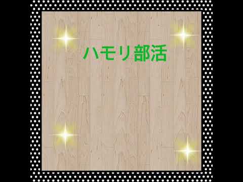 三日月をハモってみました✨