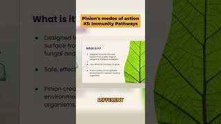 Pinions modes of action #3: Immune Pathway Activation
