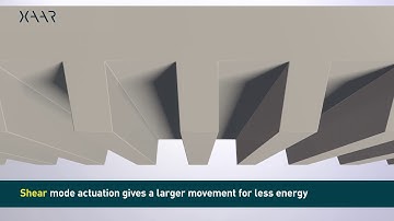 Shear Mode Animation