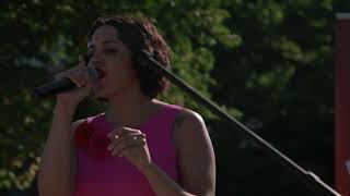 Park Snakes – “Took a Job” at Smithsonian Folklife Festival Event