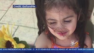 Famous Funeral Set For 6-Year-Old NJ Girl Who Died From The Flu Net Worth