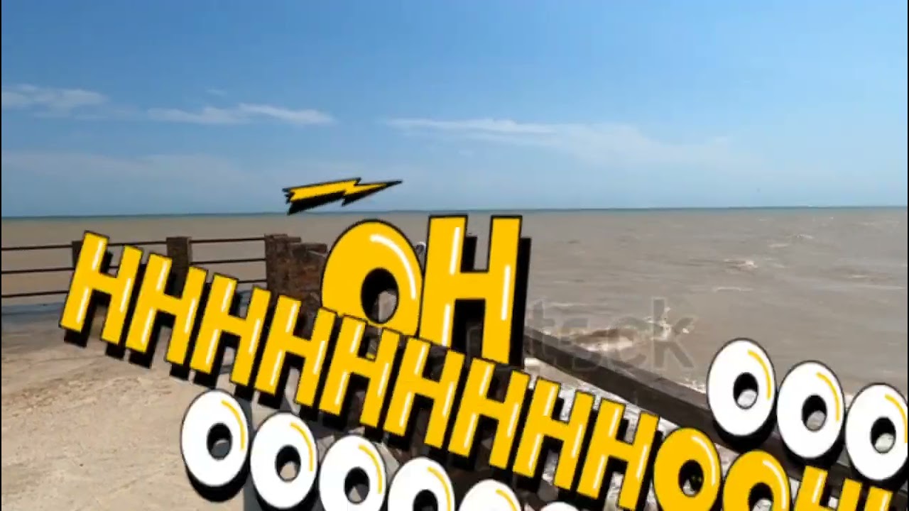 Amazing Beautifull Seagull Birds Video.#viral#seagull #viralvideo#birds #Arshad4u