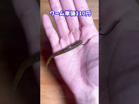 【いけるの？】カットテール４とダウンショット(バス釣り)