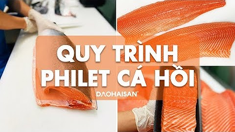 Quy Trình Cắt Cá Hồi NaUy tại ĐẢO HẢI SẢN