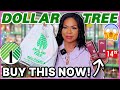 Insane dollar tree hidden gems you need to buy watch this first