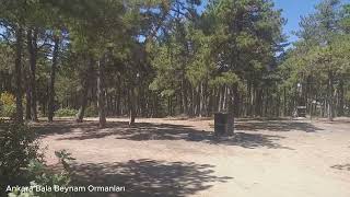 Ankara Bala Gezilecek Yerler