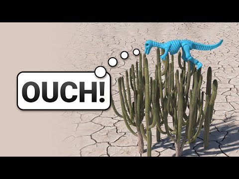 Video: If You Have A Cactus
