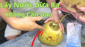 Cách Lấy Nước Dừa Ra Không Còn 1 Giọt Mà Không Dùng Dao/Mẹo Chặt Dừa Lấy Nước Không Cần Đến Dao