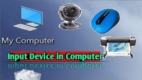 Input Output And Storage Device | Part 1 | Class 9 Computer | By Rajat