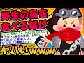 【2ch面白スレ】どうして嫁はこんなにおバカなんだろう⑮【ゆっくり解説】